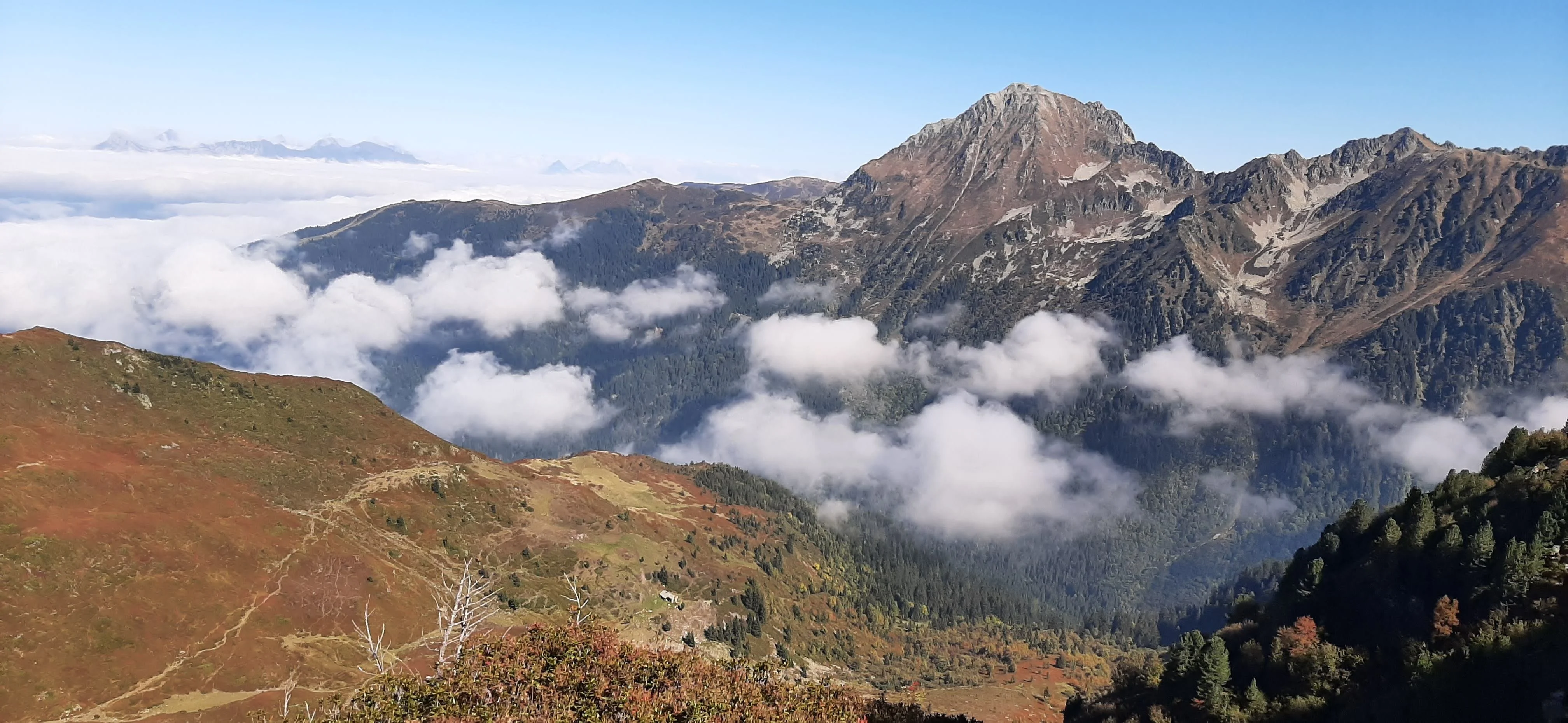 20251002 gd charnier